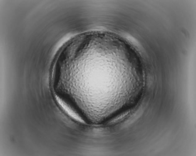 X0000113761326200910141040