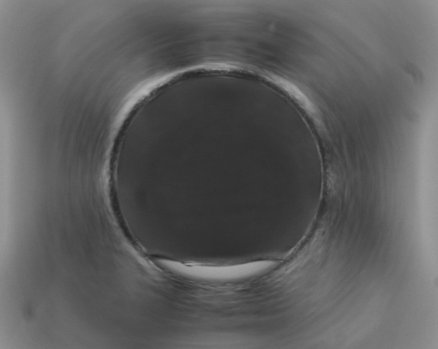 X0000113761327200910141040