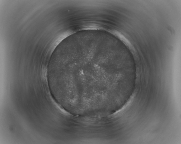 X0000113761329200910141040