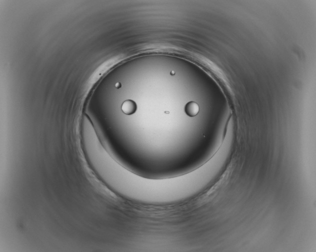 X0000113761330200910141040