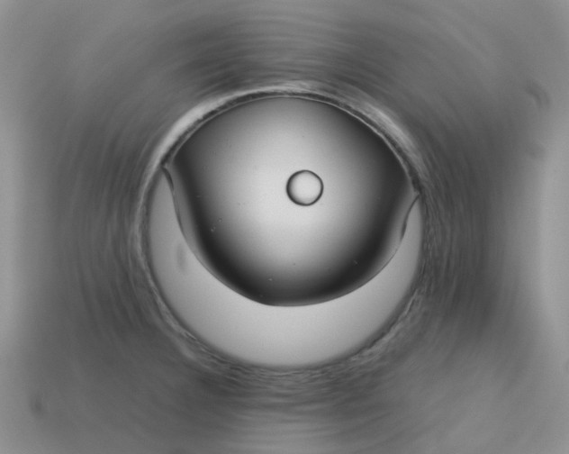 X0000113761332200910141040