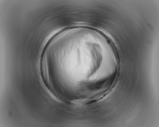 X0000113761333200910141040