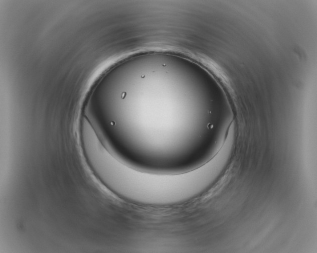 X0000113761334200910141040