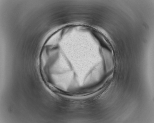 X0000113761335200910141040