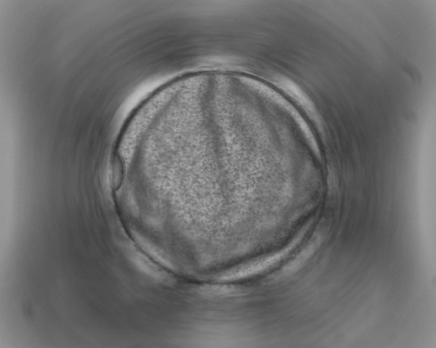 X0000113761336200910141040