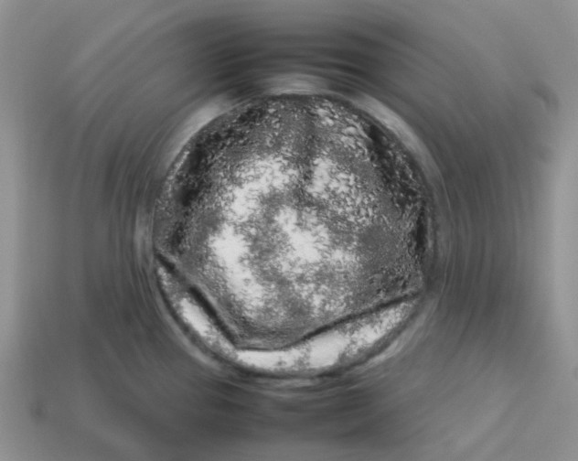 X0000113761337200910141040