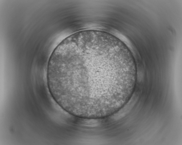 X0000113761338200910141040