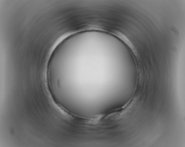 X0000113761339200910141040