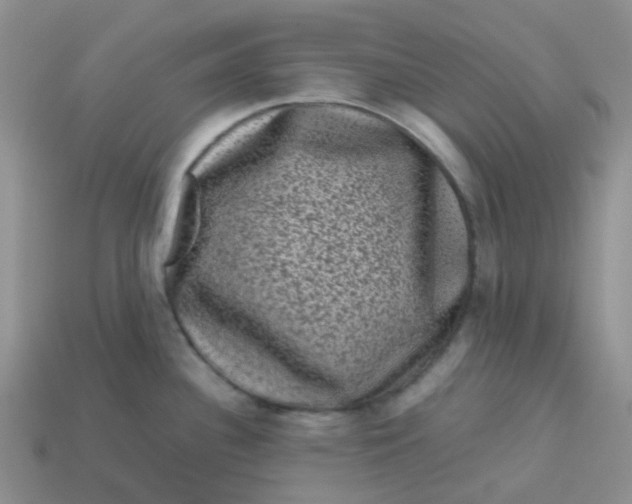 X0000113761340200910141040