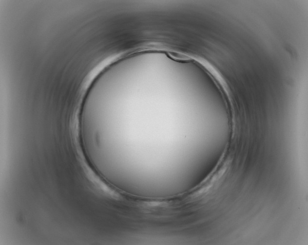 X0000113761341200910141040