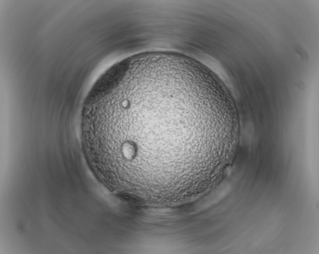 X0000113761342200910141040