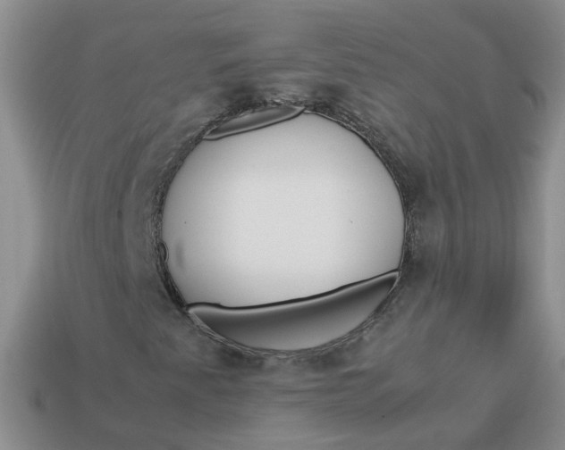 X0000113761345200910141039