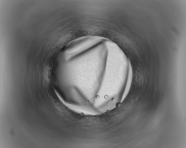 X0000113761346200910141039