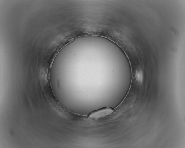 X0000113761348200910141039