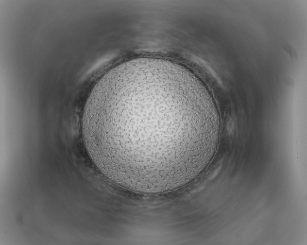 X0000113761350200910141039