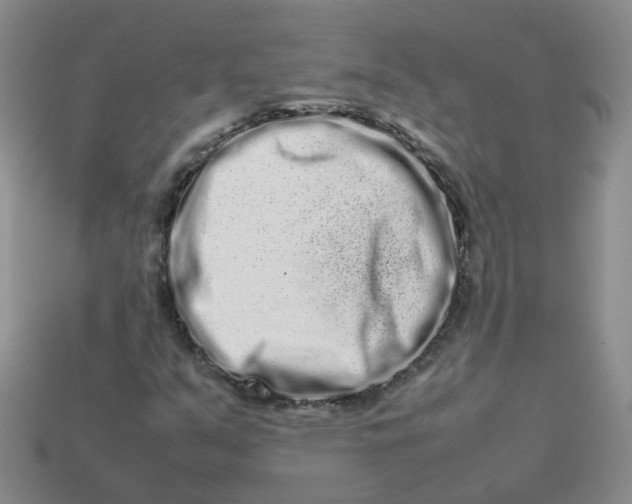 X0000113761351200910141039