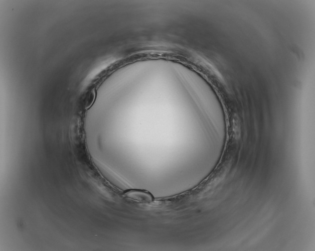X0000113761352200910141039
