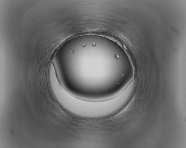X0000113761353200910141039