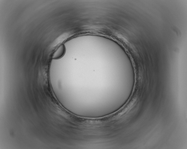 X0000113761354200910141039