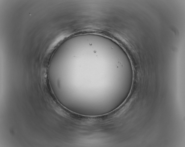X0000113761355200910141039