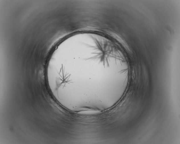 X0000113761356200910141039