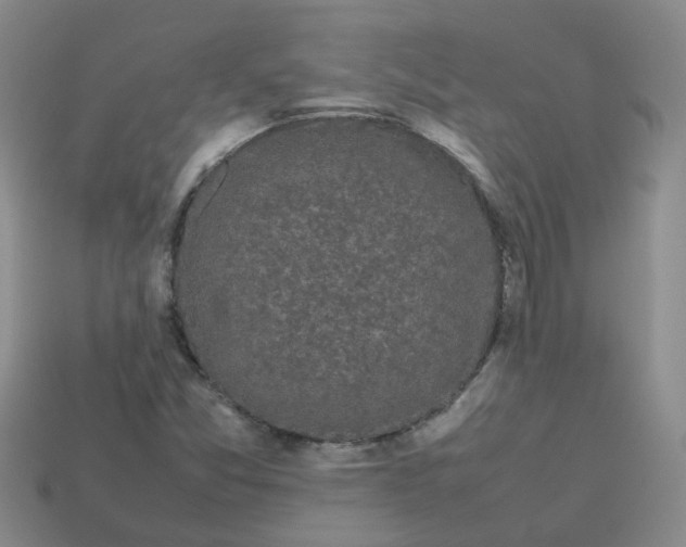 X0000113761357200910141039