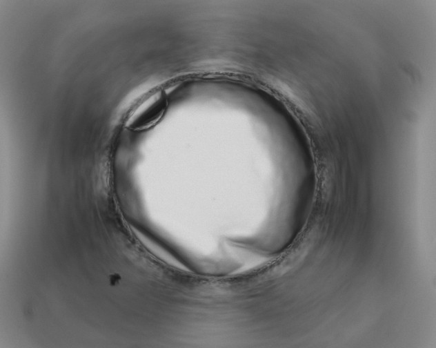 X0000113761358200910141039