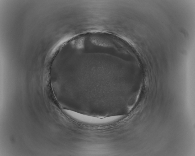 X0000113761359200910141039