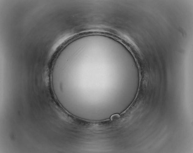 X0000113761360200910141039