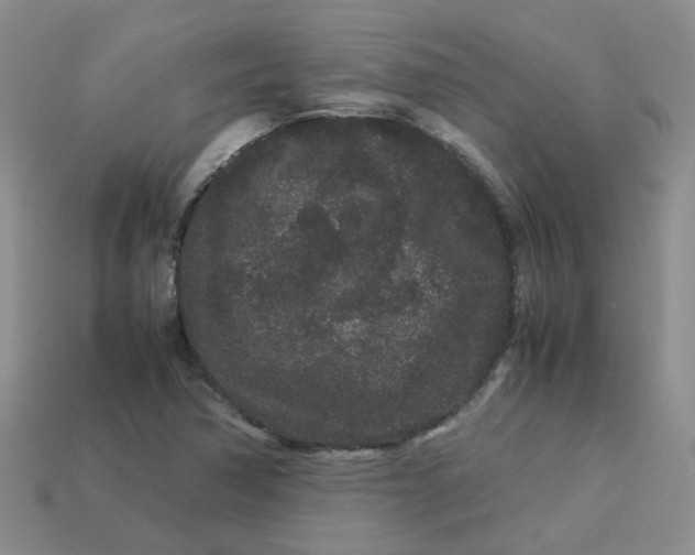 X0000113761362200910141039