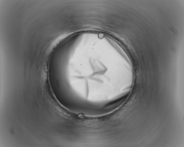 X0000113761363200910141039
