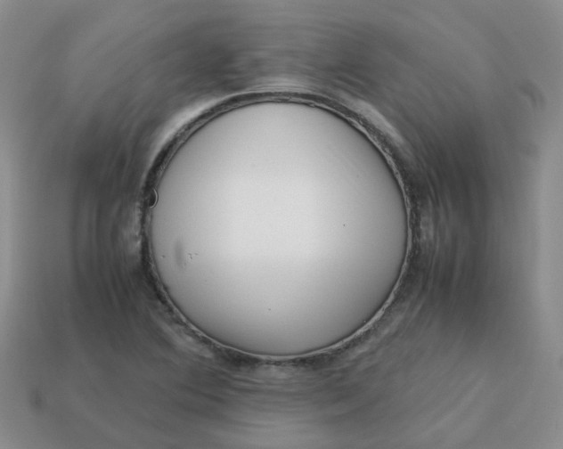 X0000113761364200910141039