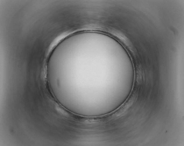 X0000113761366200910141039
