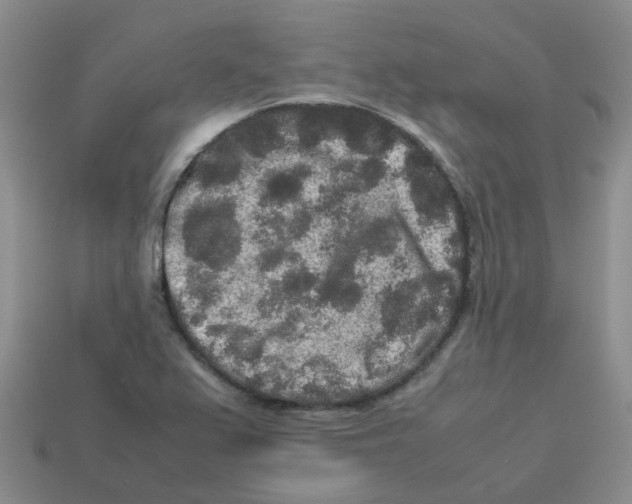 X0000113761367200910141039