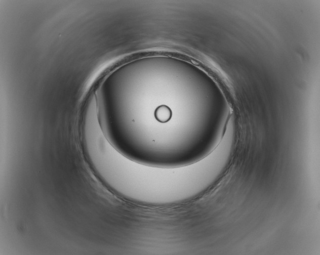 X0000113761368200910141039