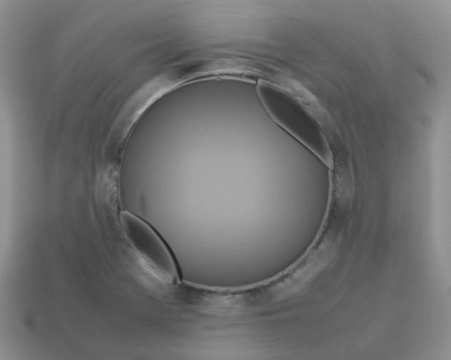 X0000113761369200910141039