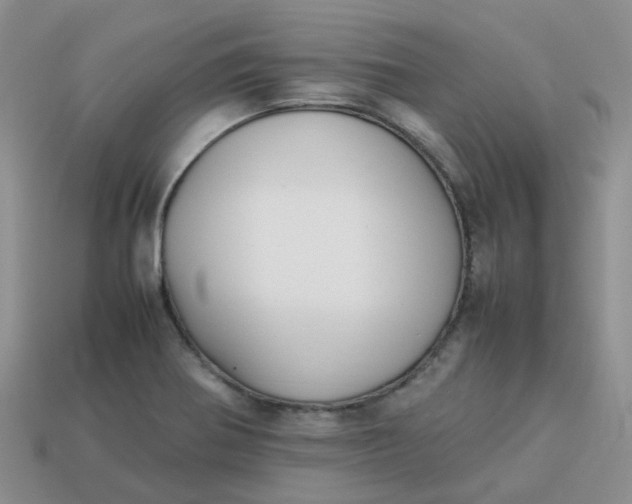X0000113761370200910141039
