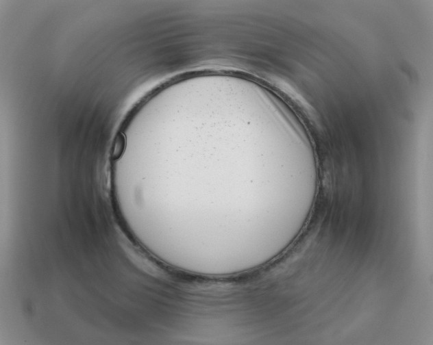 X0000113761372200910141039