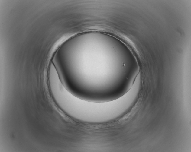 X0000113761373200910141039