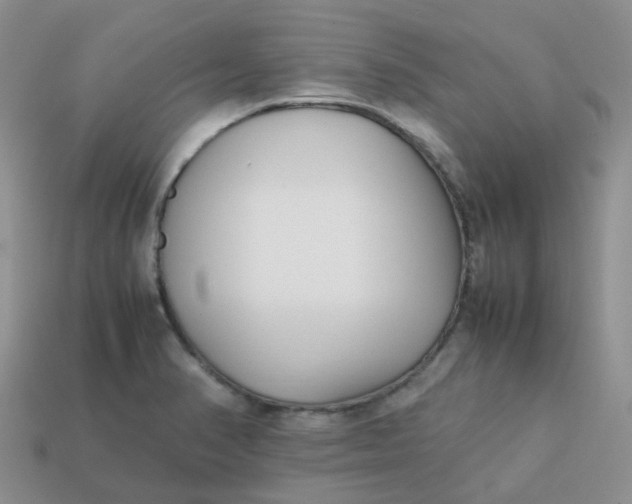 X0000113761374200910141039