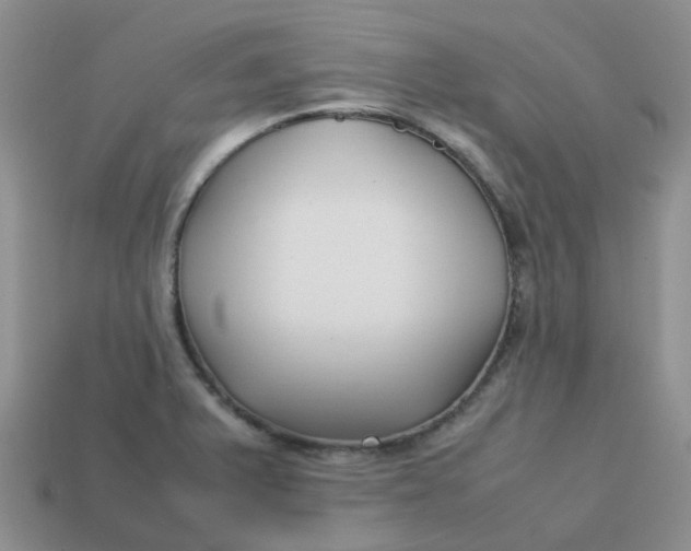 X0000113761375200910141039
