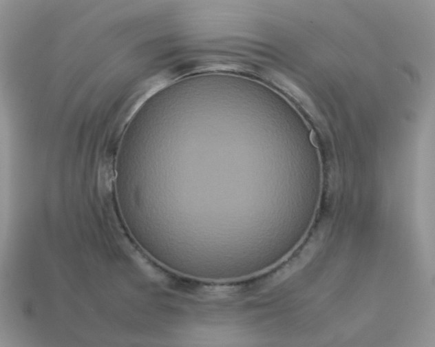 X0000113761377200910141039