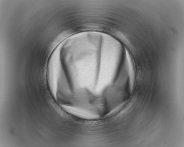 X0000113761378200910141039