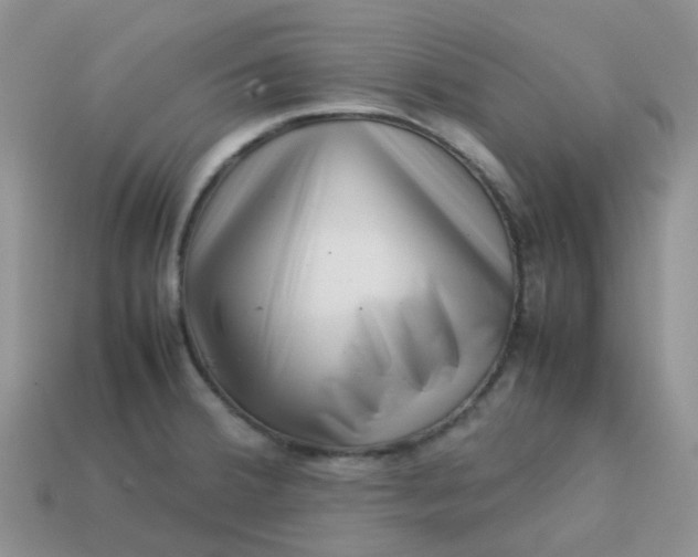 X0000113761380200910141039