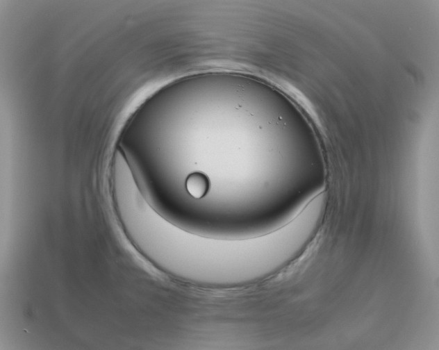 X0000113761381200910141038