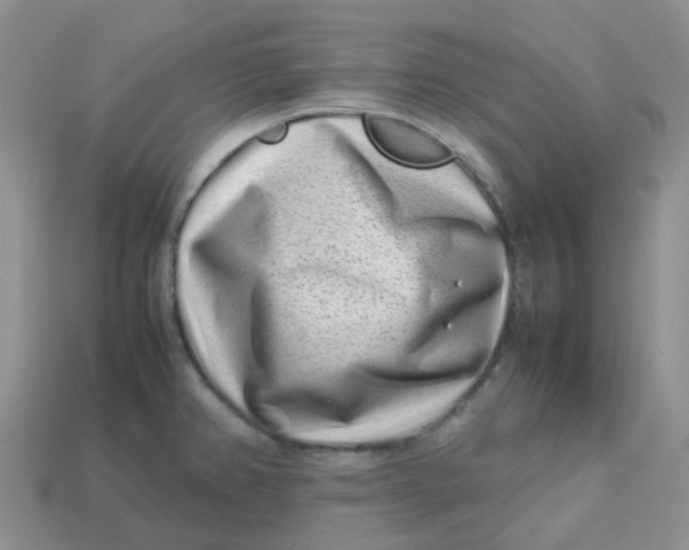 X0000113761382200910141038