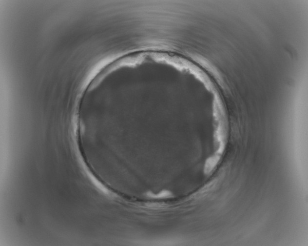 X0000113761383200910141038