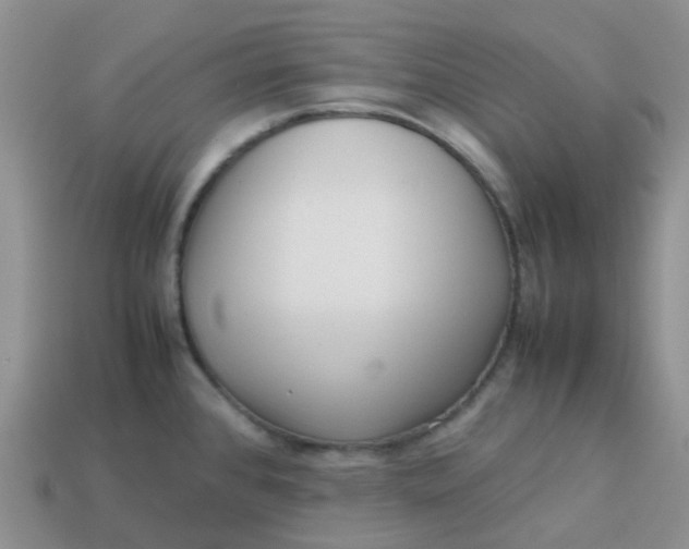 X0000113761384200910141038