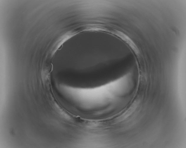 X0000113761385200910141038