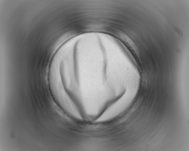 X0000113761386200910141038